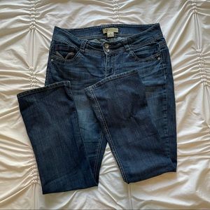 Declaration of Democracy Jeans